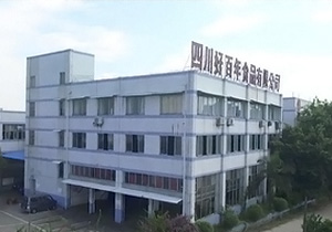 四川好百年食品有限公司